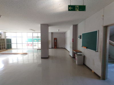 20250331_152808
